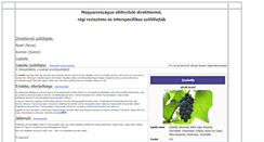 Desktop Screenshot of direkttermo.hu